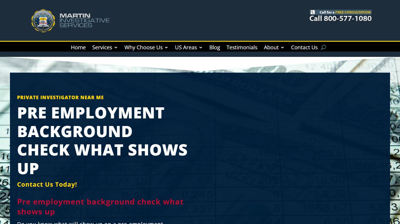 Pre Employment Background Check What Shows Up